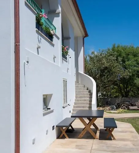 Tartaruga Golfo Aranci